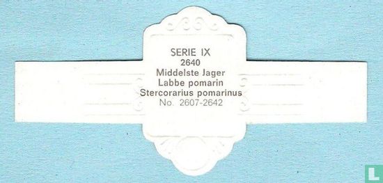 Middelste Jager (Stercorarius pomarinus) - Afbeelding 2