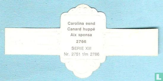 Carolina eend (Aix sponsa) - Afbeelding 2