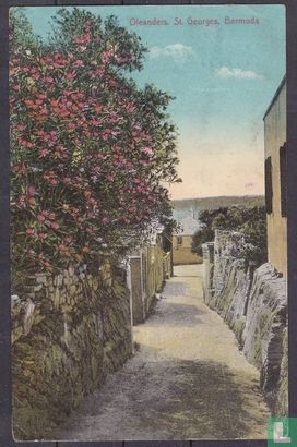 St. Georges (Bermuda), Oleanders