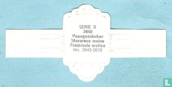 Papegaaiduiker (Fratercula arctica) - Bild 2