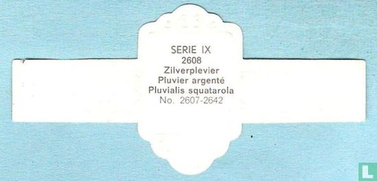 Zilverplevier (Pluvialis squatarola) - Afbeelding 2