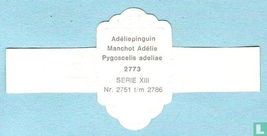 Adéliepinguin (Pygoscelis adeliae) - Afbeelding 2