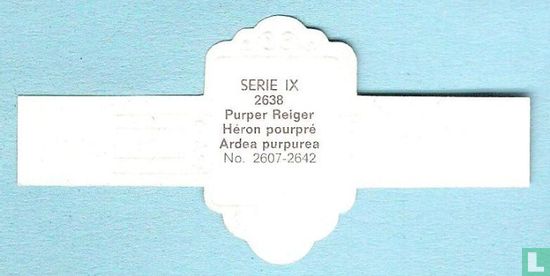 Purper Reiger (Ardea purpurea) - Afbeelding 2