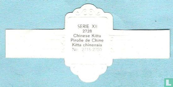 Chinese Kitta (Kitta chinensis) - Image 2