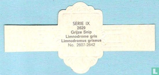 Grijze Snip (Limnodromus griseus) - Afbeelding 2
