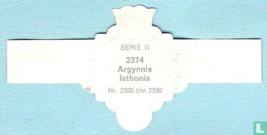 Argynnis lathonia - Image 2