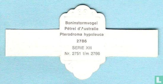 Boninstormvogel (Pterodroma hypoleuca) - Afbeelding 2