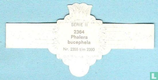 Phalera bucephela - Afbeelding 2