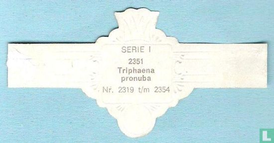 Triphaena pronuba - Afbeelding 2