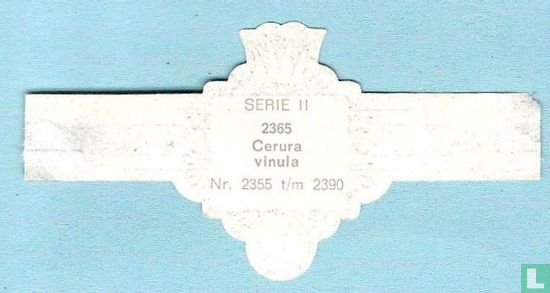 Cerura vinula  - Afbeelding 2