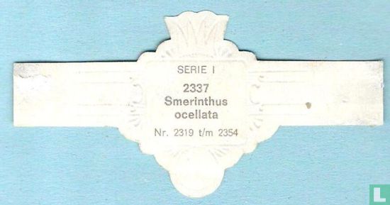 Smerinthus ocellata - Afbeelding 2