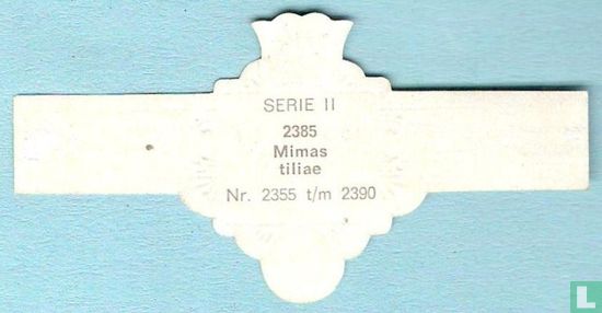 Mimas tiliae - Bild 2