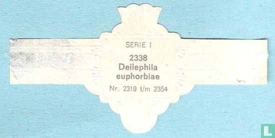 Deilephila euphorbiae - Afbeelding 2