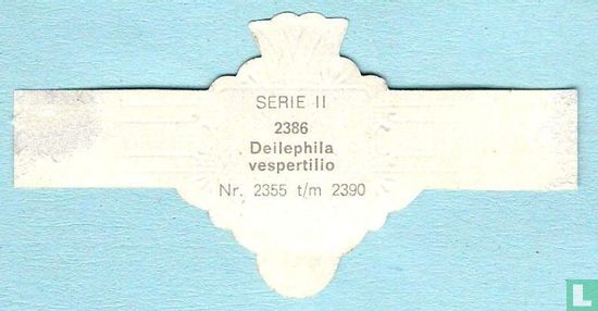 Deilephila vespertilio - Bild 2
