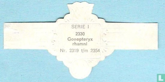 Gonepteryx rhamni - Bild 2