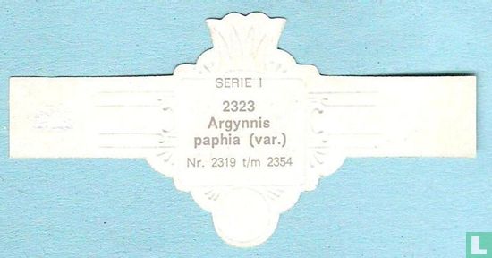 Argynnis paphia (var.) - Afbeelding 2