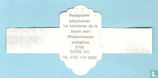 Pelagische aalscholver (Phalacrcorax pelagicus) - Afbeelding 2