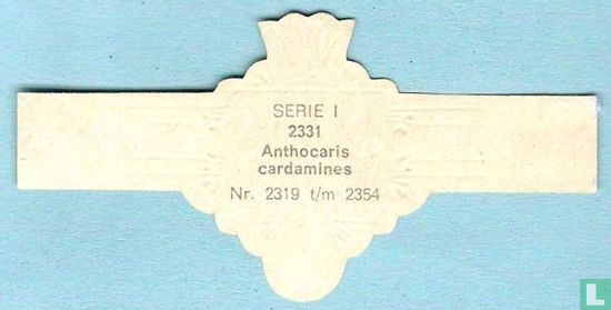 Anthocaris cardamines - Afbeelding 2