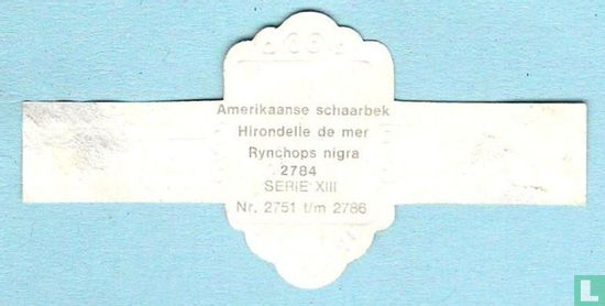 Amerikaanse schaarbek (Rynchops nigra) - Afbeelding 2