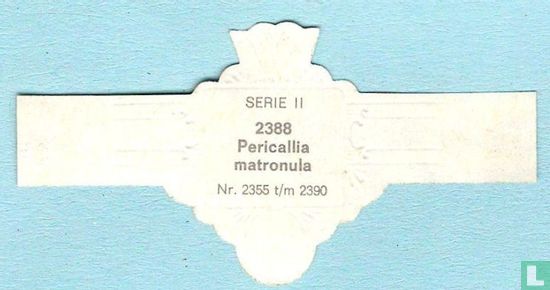 Pericallia matronula - Afbeelding 2