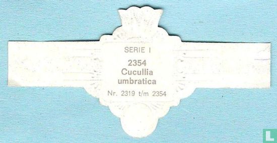 Cucullia umbratica - Afbeelding 2