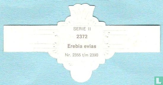 Erebia evias - Afbeelding 2