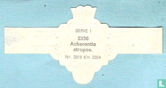 Acherontia atropos. - Afbeelding 2