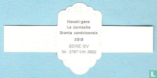 Hawaii-gans (Branta sandvicensis) - Afbeelding 2