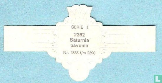 Saturnia pavonia - Afbeelding 2