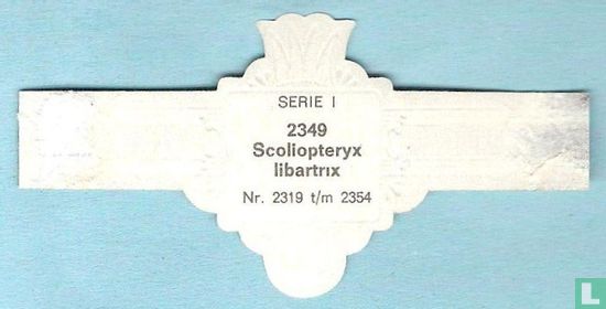 Scoliopteryx libartrix - Afbeelding 2