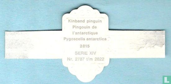Kinband pinguÏn (Pygoscelis antarctica) - Afbeelding 2