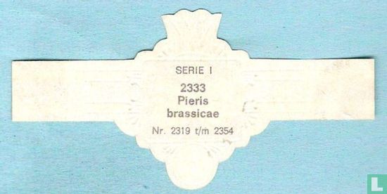 Pieris brassicae - Afbeelding 2