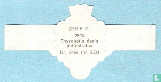 Thysonotis danis philostratus - Bild 2