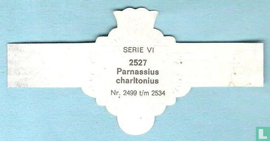 Parnassius charltonius - Afbeelding 2