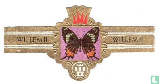 Papilio columbus - Image 1