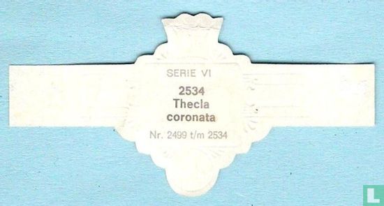 Thecla coronata - Afbeelding 2
