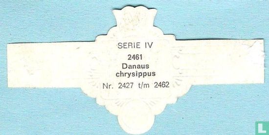 Danaus chrysippus - Image 2