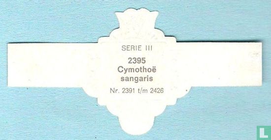 Cymothoë sangaris - Bild 2
