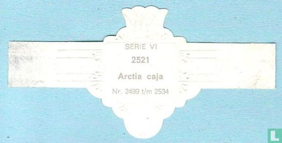 Arctia caja - Afbeelding 2