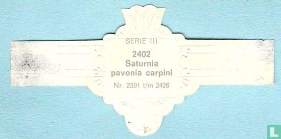 Saturnia pavonia carpini - Afbeelding 2