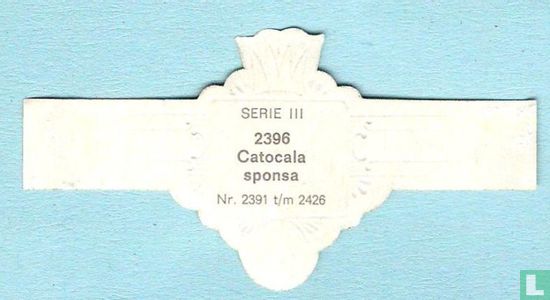 Catocala sponsa - Afbeelding 2