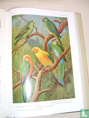 Encyclopedie voor de vogelliefhebber band I - Bild 2