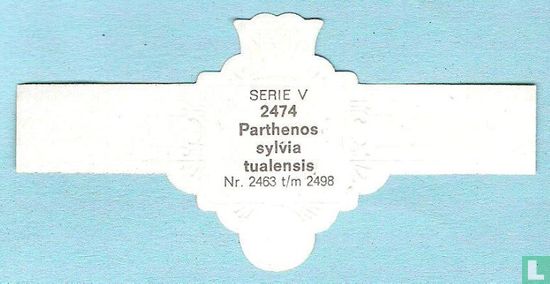 Parthenos sylvia tualensis - Afbeelding 2