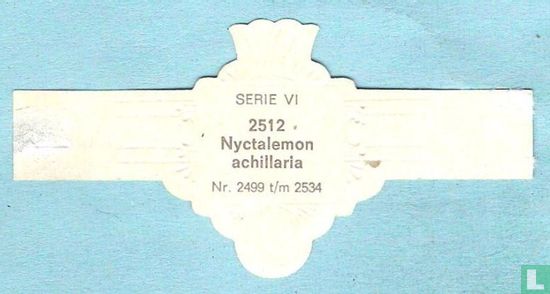 Nyctalemon achillaria - Afbeelding 2