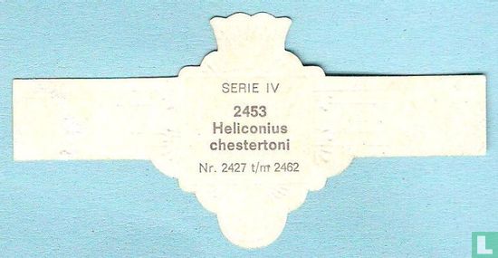 Heliconius chestertoni - Afbeelding 2