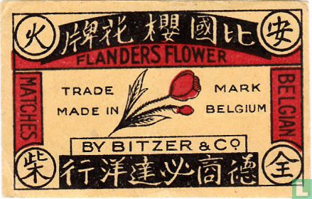 Flanders Flower