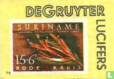 Bloem - Suriname
