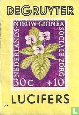 Bloem - Nederlans Nieuw-Guinea