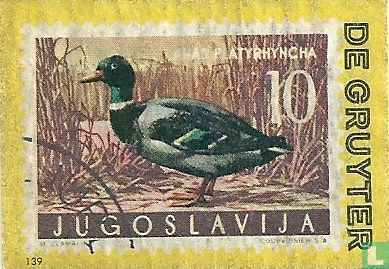 Joegoslavië - vogel