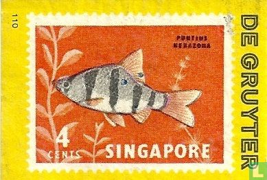 Singapor - vis